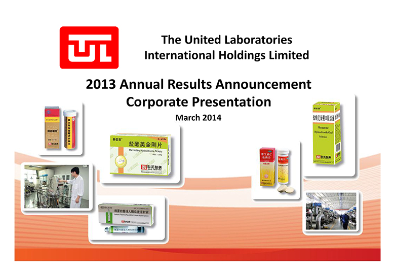 2013 Annual Results