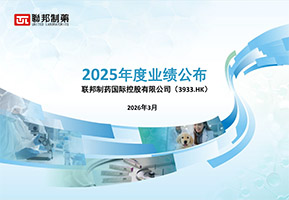 2025 全年業績